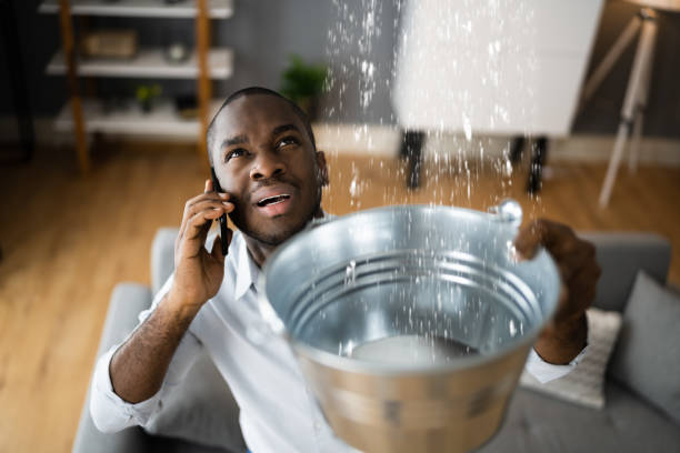 Best Mold removal after water damage  in Springfield, TN