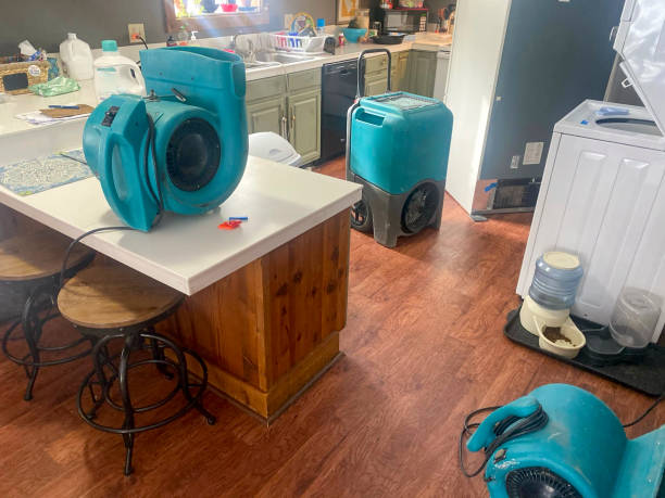 Best Water damage cleanup near me  in Springfield, TN