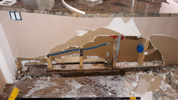 Best Basement water damage restoration  in Springfield, TN