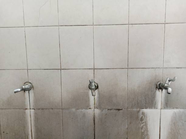 Best Fire Damage Restoration  in Springfield, TN