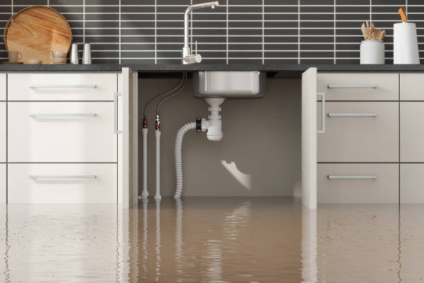 Best Emergency water damage restoration  in Springfield, TN