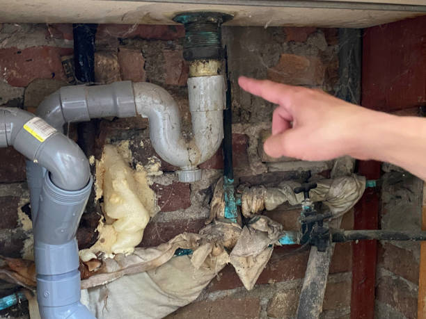 Best Professional water damage repair  in Springfield, TN