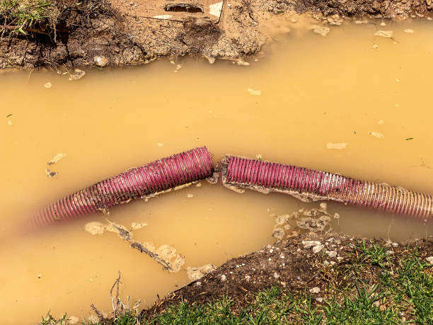 Best Water damage mitigation services  in Springfield, TN