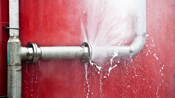 Best Water damage restoration cost  in Springfield, TN